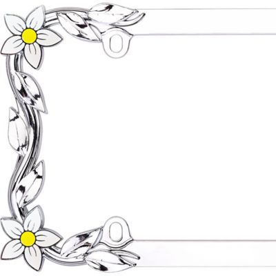 Image showing  Daisy, Chrome/Painted License Plate Frame