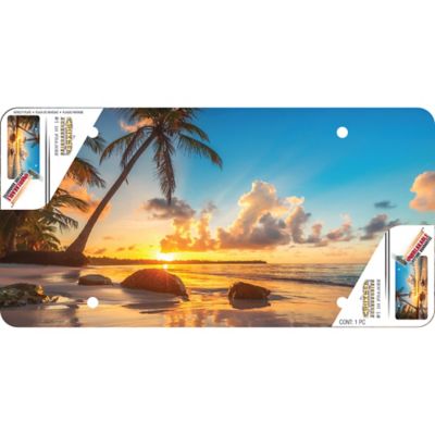 Image showing  Novelty Plate, Beach Novelty Plate