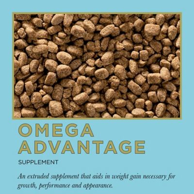 Image showing  Proelite Omega Advantage Supplement