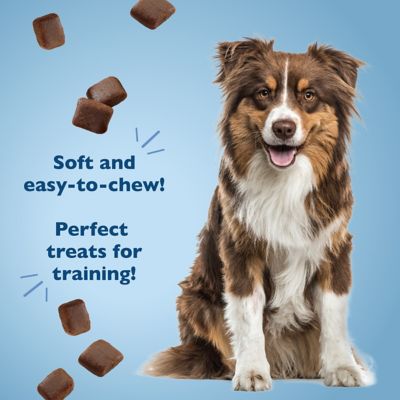 Image showing  Peanut Butter & Oats Soft Treats for Dogs