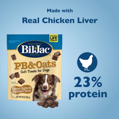 Image showing  Peanut Butter & Oats Soft Treats for Dogs