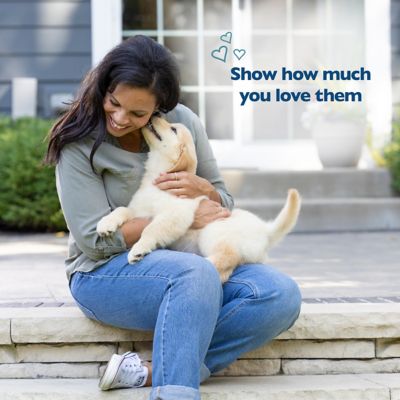 Image showing  Peanut Butter & Oats Soft Treats for Dogs