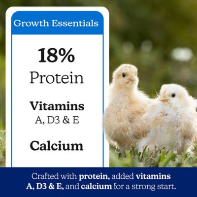 Image showing 5 th Nutrena NatureWise Chick Starter Grower 18% Medicated Poultry Feed, 40 lb.