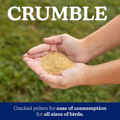 Image showing 6 th Nutrena NatureWise Chick Starter Grower 18% Medicated Poultry Feed, 40 lb.