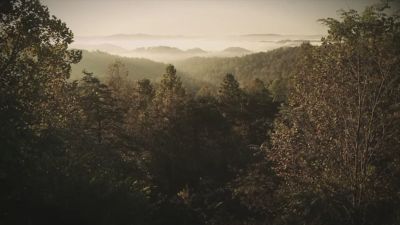 Image showing  225 ft. Capacity NeverLeak Wall Mount Poly Hose Reel