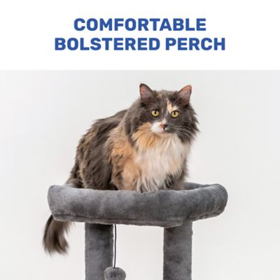 Image showing  23 in. Tower Cat Tree