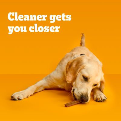 Image showing  Beef Flavored Large Dental Dog Treats, 72 ct.