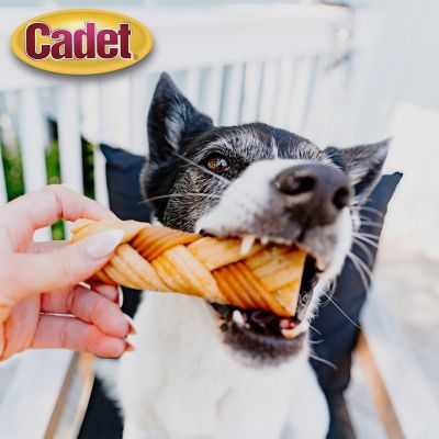 Image showing 5 th Cadet Chewalicious Chewy 'N Crunchy Rawhide-Free Natural Braids Chicken (3 Count)