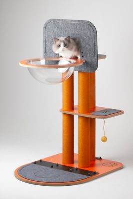 Image showing  Purr & Play Kitty Basketball Hoop and Scratch Post