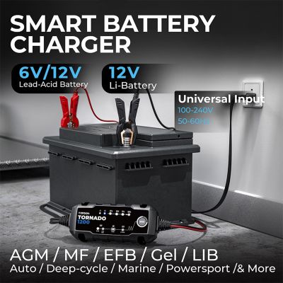 Image showing  1.2A Smart Battery Charger