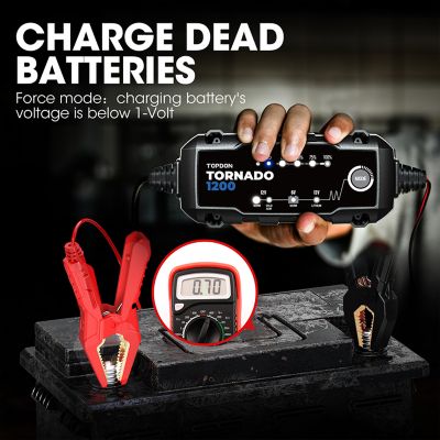 Image showing  1.2A Smart Battery Charger