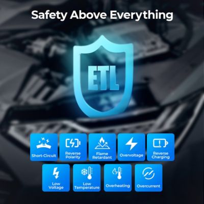 Image showing 6 th TOPDON 4A Smart Battery Charger