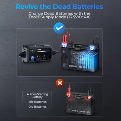 Image showing 8 th TOPDON 4A Smart Battery Charger