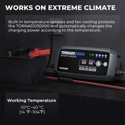 Image showing 6 th TOPDON 30A Smart Charger and Power Supply 12V/24V