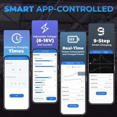 Image showing 5 th TOPDON 2-in-1 6A Battery Charger & Battery Tester with App