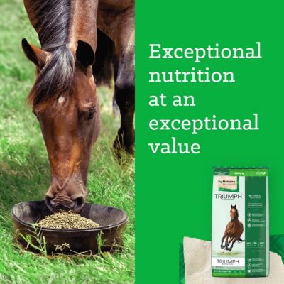 Image showing  Active 12 Textured, 50 lb.