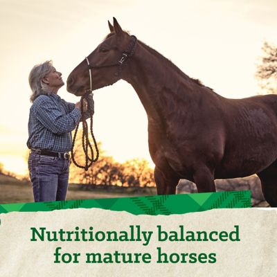 Image showing 6 th Nutrena Triumph Active 12 Textured Horse Feed, 50 lb.