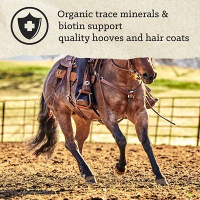 Image showing  Professional Textured, 50 lb.