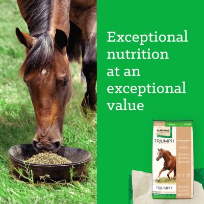 Image showing  Professional Textured, 50 lb.