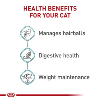 Image showing  Feline Care Nutrition Hairball Care Thin Slices in Gravy Wet Cat Food, 3 oz., 12 pk.