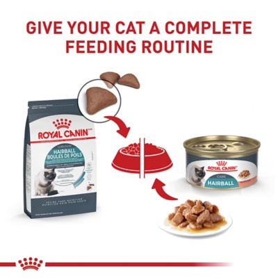 Image showing 5 th Royal Canin Feline Care Nutrition Hairball Care Thin Slices in Gravy Wet Cat Food, 3 oz., 12 pk.