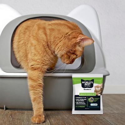 Image showing 6 th World's Best Cat Litter Boosters Health Check-In Litter Additive, 12g.