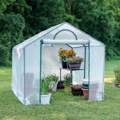 Image showing  6 x 8ft. Transparent Heavy-Duty Greenhouse with Shelf
