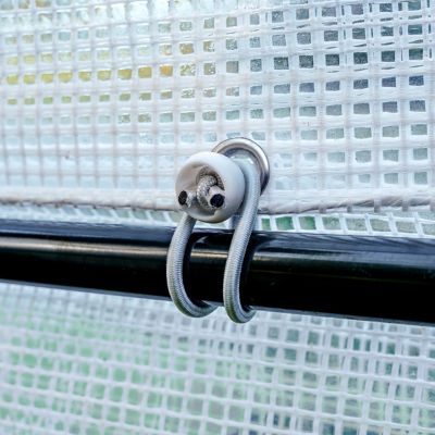 Image showing 5 th GroundWork 6 x 8ft. Transparent Heavy-Duty Greenhouse with Shelf