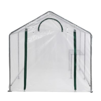 Image showing 7 th GroundWork 6 x 8ft. Transparent Heavy-Duty Greenhouse with Shelf