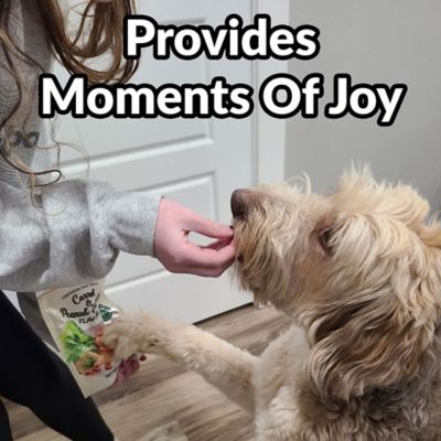 Image showing  Premium Dog Treats - Gourmet Healthy Dog Treats, Training Treats for Dogs 2pk Carrot/Peanut Butter