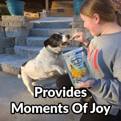 Image showing  Premium Dog Treats - Gourmet Healthy Dog Treats, Training Treats for Dogs 2pk Blueberry/Banana