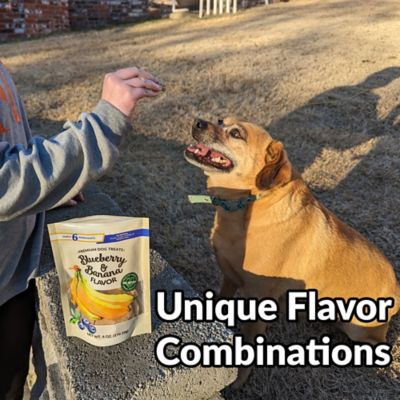 Image showing  Premium Dog Treats - Gourmet Healthy Dog Treats, Training Treats for Dogs 2pk Blueberry/Banana