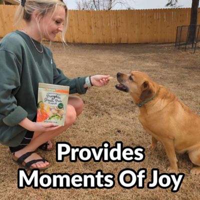 Image showing  Premium Dog Treats - Gourmet Healthy Dog Treats, Training Treats for Dogs 2pk Pumpkin/Green Pea & Sweet Potato/Apple