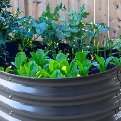Image showing 8 th Veikous Dark Gray Galvanized Steel Raised Garden Bed Many-in-1 Planter Box Outdoor, 96 x 48 x 24in.