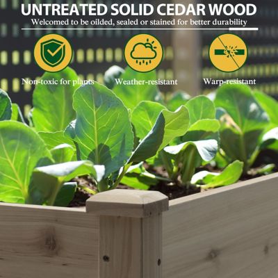Image showing  72 W x 23 L x 30 H in. Cedar Wood Raised Garden Bed Elevated Planter Box with 2 Planting Areas, Brown