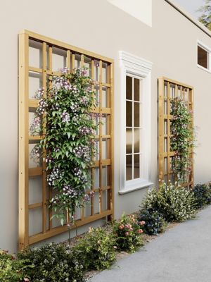 Image showing  Cedar Modern Trellis