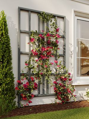 Image showing  Urbana Medium Modern Trellis