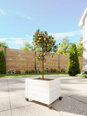 Image showing  Classic 22 L x 18 W x 18 H in. Vinyl Planter with Wheels, White