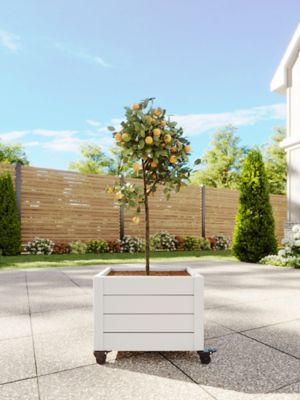 Image showing  Classic 22 L x 18 W x 18 H in. Vinyl Planter with Wheels, White