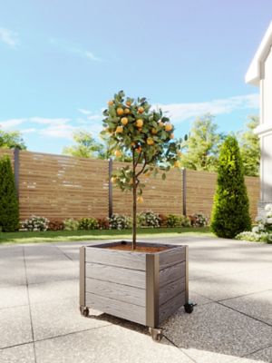 Image showing  Urbana 22 in. L x 18 in. W x 18 in. H Vinyl Planter with Wheels, Slate Gray