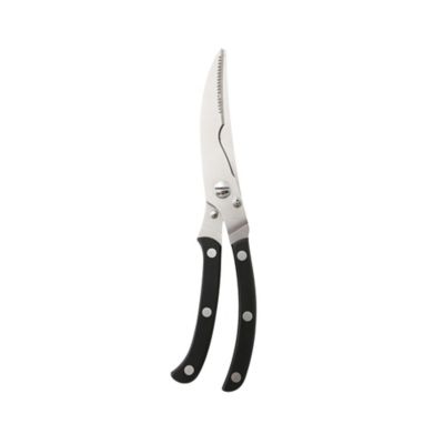 Image showing  Stainless Steel Shears