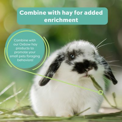 Image showing  Meadow Blend Hay Topper