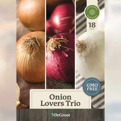 Image showing  Onion Lovers' Trio - 240 sets