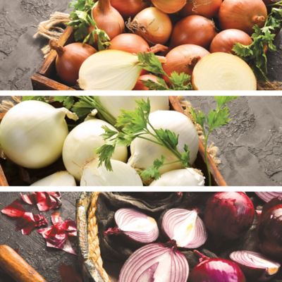 Image showing  Onion Lovers' Trio - 240 sets