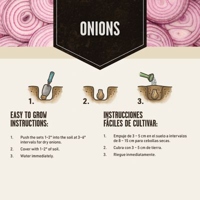 Image showing  Onion Lovers' Trio - 240 sets