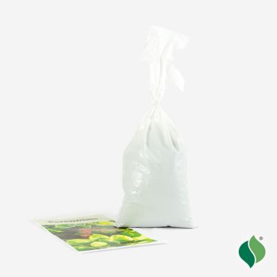 Image showing 3 th DeGroot McKana Hybrid Aquilegia (Columbine) Mix - 5 Bareroot Plants