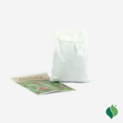 Image showing 4 th DeGroot Caladium Mix, 3 Bulbs