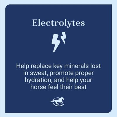 Image showing  SmartLytes Paste