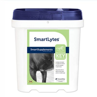 SmartEquine SmartLytes