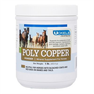 SmartEquine Uckele Poly Copper Powder for Horses, 1 lb. Tub